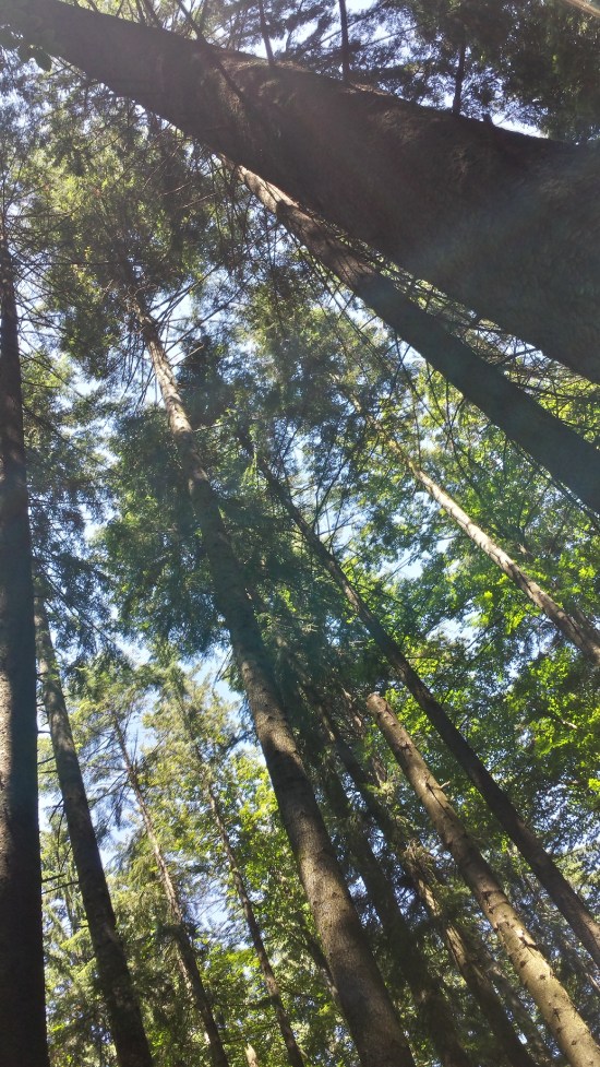 20150722_123454_Richtone(HDR)