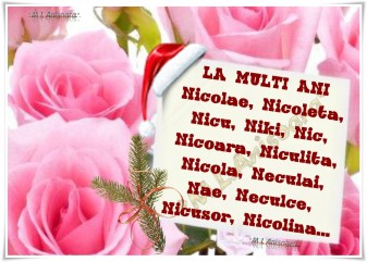 la-multi-ani-nicoleta-nicolae-niculina-etc_d2052240e9e4ac