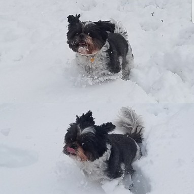 IMG_20170422_000838_150