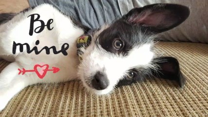 IMG_20170708_180241207