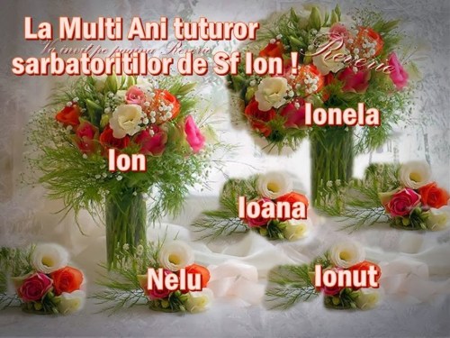 1508579_788971721117787_1696233048_n